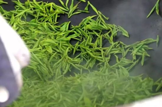 碧螺春為什么泡水渾濁，碧螺春茶葉泡水感覺(jué)很臟是混濁的