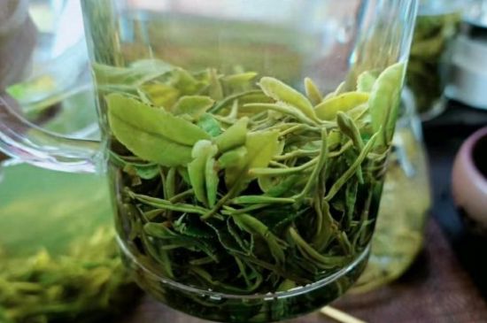 什么綠茶味道濃香，那個(gè)綠茶比較濃香？
