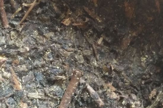黑茶茯茶保存五大忌，茯茶收藏的注意事項(xiàng)