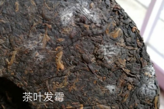 西湖龍井茶毫和發(fā)霉區(qū)別圖片，長(zhǎng)霉的龍井茶葉會(huì)是什么樣？