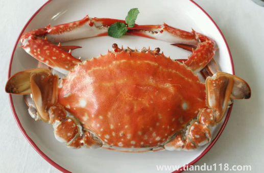青蟹和梭子蟹哪個更寒(青蟹和梭子蟹哪個好吃) 青蟹和梭子蟹哪個更寒(青蟹和梭子蟹哪個好吃)