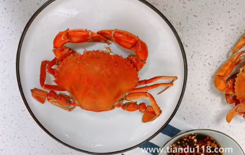 青蟹和梭子蟹哪個更好吃(青蟹和梭子蟹哪個貴) 青蟹和梭子蟹哪個更好吃(青蟹和梭子蟹哪個貴)