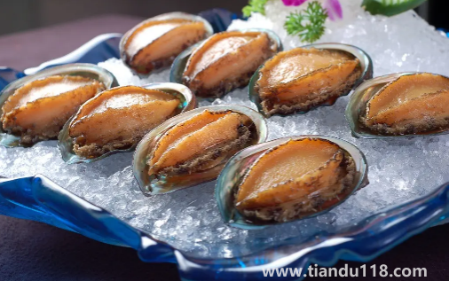 冷凍鮑魚先解凍還是先煮一下1