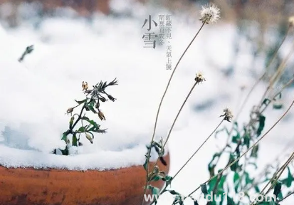 小雪節(jié)氣溫度高會怎樣2