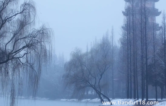 2022小雪節(jié)氣時成都下雪了嗎（小雪節(jié)氣成都天氣怎么樣）