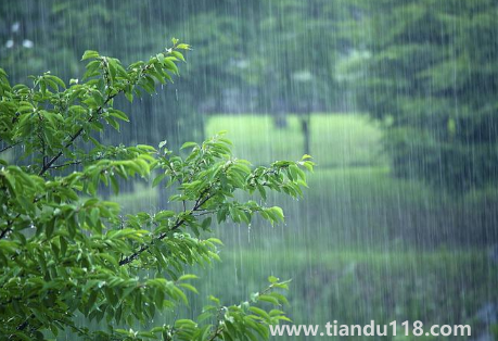 2023年一年的雨水怎么樣3